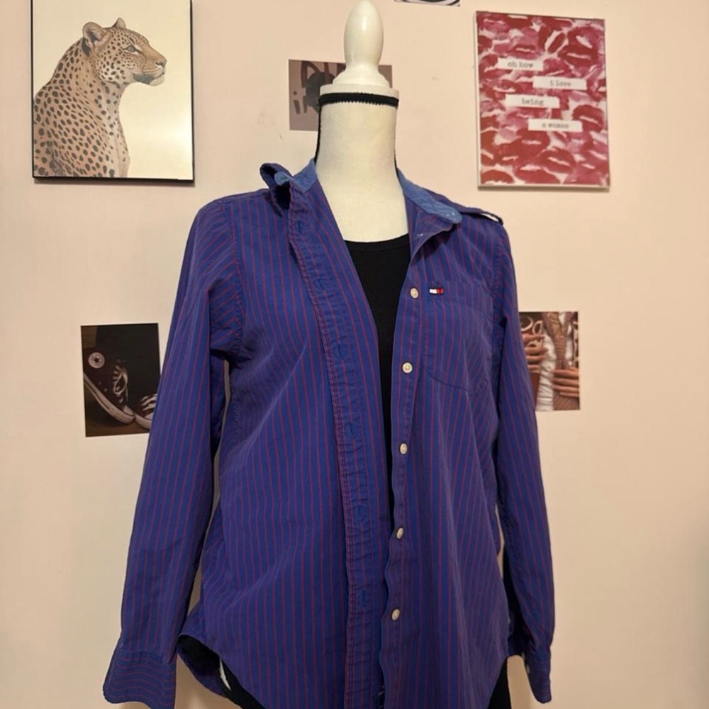 Tommy Hilfiger Blue and Red Striped Shirt